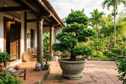 Chậu cây trồng ngoài sân hợp tuổi dần được bố trí hài hòa trước hiên nhà giúp thu hút vượng khí