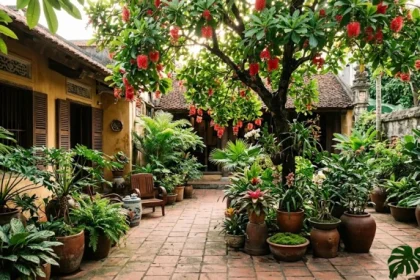 Không gian sân vườn trồng lộc vừng rực rỡ là mẫu cây trồng ngoài sân hợp tuổi ngọ giúp thu hút tài lộc
