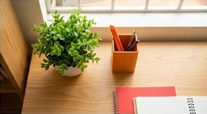 Góc bàn học đặt chậu cây xanh tươi bên cạnh hộp bút và sổ tay màu đỏ cam ấm áp giúp tăng sự tập trung