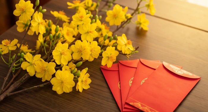 Cành mai vàng nở rực rỡ bên cạnh bao lì xì đỏ mang đến cát khí trong ngày khai trương đầu năm