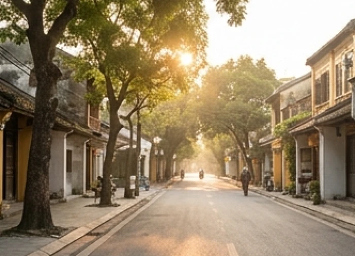Con đường yên tĩnh ngập tràn nắng sớm trong buổi sáng đầu năm mới