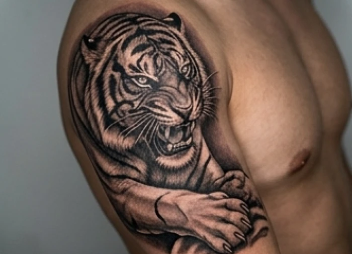 Hình xăm con hổ dũng mãnh ở bắp tay thể hiện bộ ba tam hợp Dần Ngọ Tuất