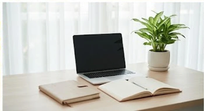 Góc làm việc gọn gàng bố trí cây Kim Tiền hành Mộc giúp cân bằng sinh khí và hóa giải xung khắc phong thủy