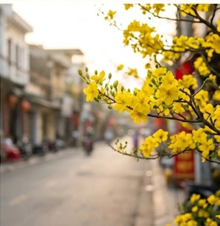 Xuất hành đúng hướng Sinh Khí và Diên Niên trong ngày mùng 1 Tết để nghênh đón cát thần, thu hút tài lộc
