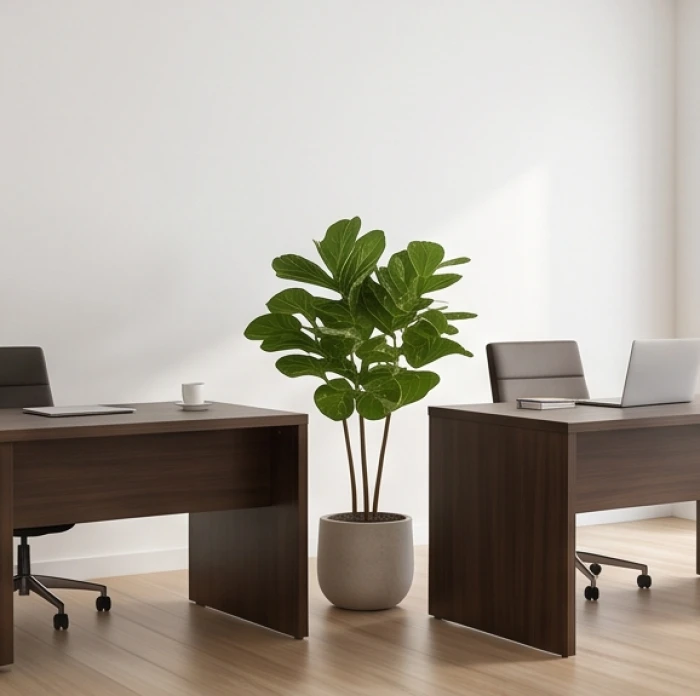 Hai bàn làm việc được kê lệch nhau một góc 45 độ giúp phân tán năng lượng trực xung giữa hai người