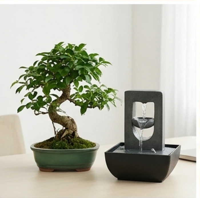 Người tuổi Kỷ Tỵ mệnh Mộc đặc biệt hòa hợp với đối tác mang mệnh Thủy nhờ ngũ hành tương sinh