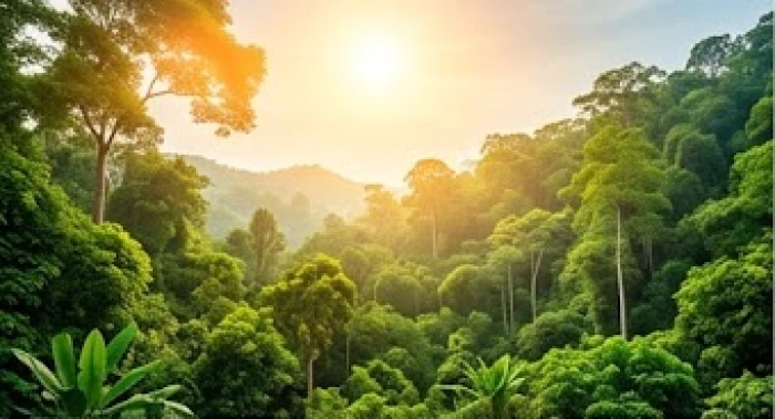 Mặt trời tỏa nắng ấm áp chiếu rọi xuống cảnh quan thiên nhiên mộc mạc mang sinh khí cho vạn vật