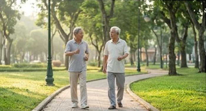 Hai người đàn ông lớn tuổi đang đi bộ tập thể dục nhẹ nhàng trong công viên vào buổi sáng sớm