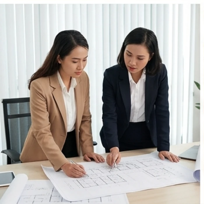 Phụ nữ tuổi Tỵ kết hợp cùng đối tác tuổi Sửu giúp quản trị rủi ro và ổn định dòng tiền hiệu quả