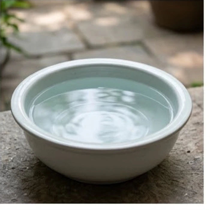Chậu nước sạch chứa hỗn hợp nước mưa và nước giếng dùng để ngâm thanh lọc tượng phong thủy