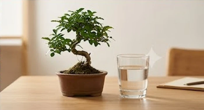 Chậu cây xanh nhỏ và ly nước đặt trên bàn gỗ đại diện cho phong thủy tương sinh mệnh mộc