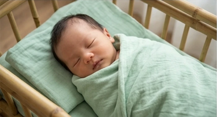 Em bé sơ sinh ngủ bình yên trong chiếc chăn êm ái dưới ánh sáng dịu nhẹ của buổi sáng mùa thu