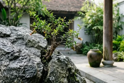 Hình ảnh minh họa sâu sắc về tính cách tuổi tân dậu 1981 với biểu tượng thạch lựu mộc kiên cường