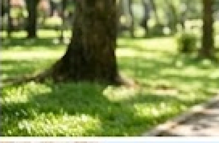 Người lớn tuổi giơ tay từ chối nhẹ nhàng khi được yêu cầu ký vào một tập tài liệu
