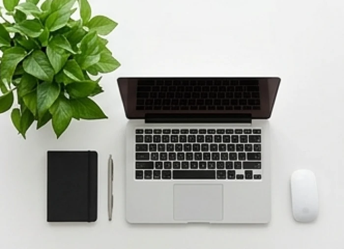 Chậu cây phong thủy được đặt gọn gàng ở góc bên trái của bàn làm việc, tức vị trí Tả Thanh Long